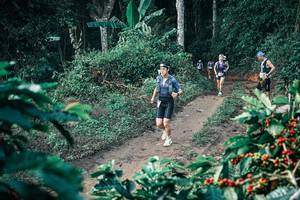 BIB: 
                            <button type="button" onclick="openModal(25799165)" class="btn btn-primary btn-sm float-right btn-popup" data-toggle="modal" data-target=".modal-high-quality">
                        <i class="fas fa-shopping-cart"></i> Add to Cart
                    </button>
                                            <button type="button" onclick="isThisMe(25799165, true)" class="btn btn-success btn-sm float-right btn-popup btn-isme hidden" data-toggle="tooltip" data-placement="bottom" title="นี่คือรูปของคุณใช่ไหม คลิกที่นี่เพื่อเอาเข้าอัลบั้ม">
                        <i class="fas fa-plus"></i> Add to album
                    </button>
                    <button type="button" onclick="isThisMe(25799165, false)" class="btn btn-warning btn-sm float-right btn-popup btn-isnotme hidden">
                        <i class="fas fa-ban"></i> Remove from album
                    </button>